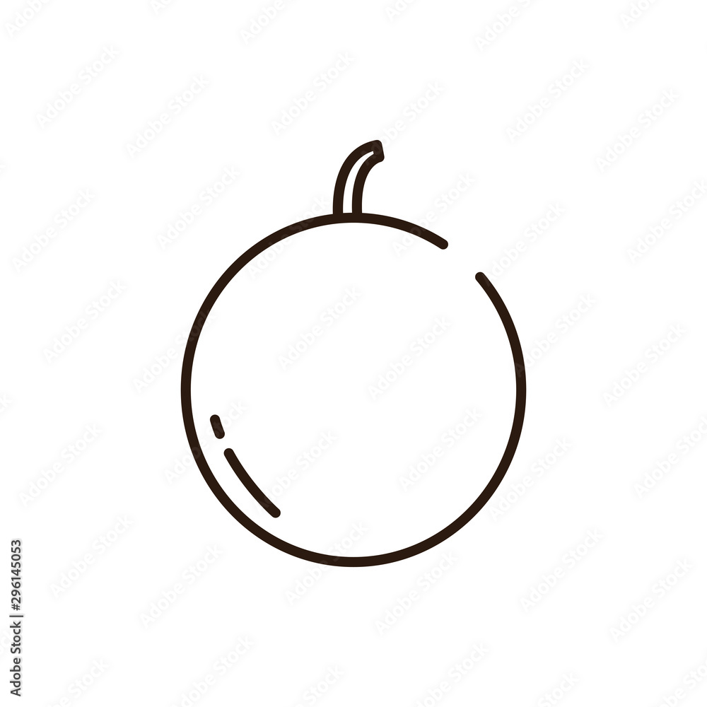 Isolated melon icon line vector design Isolated melon icon line vector design