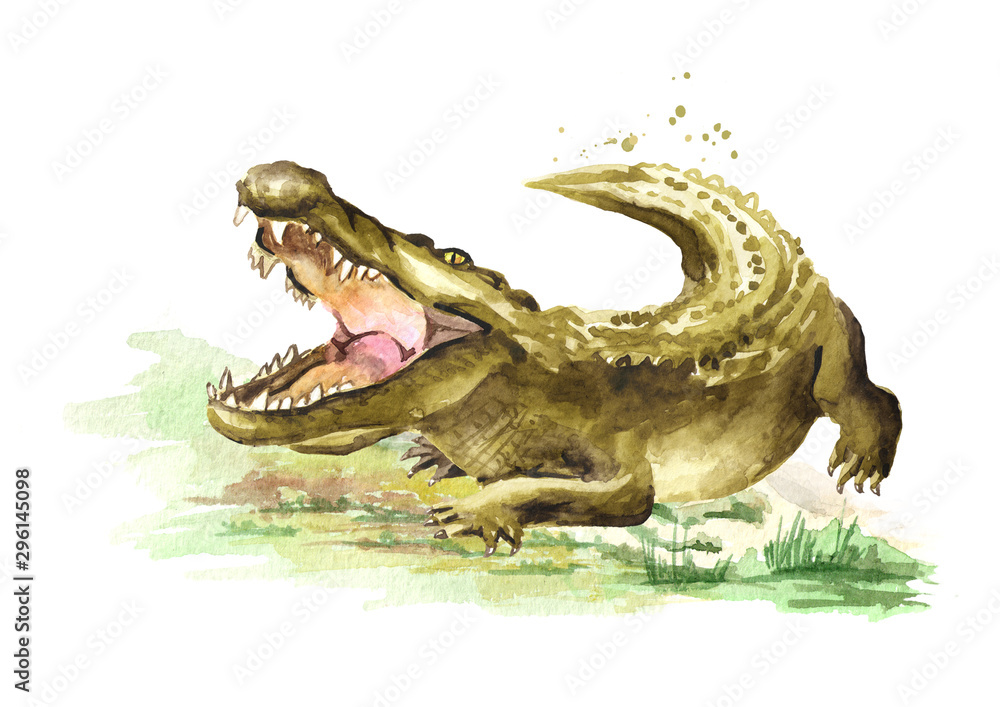 Obraz premium Wild attacker forward crocodile or Alligator with open mouth. Watercolor hand drawn illustration isolated on white background