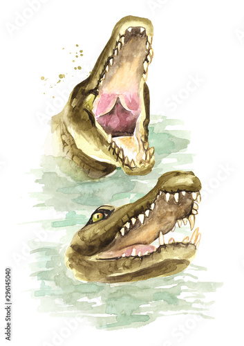 Two hungry Wild crocodiles or Alligator with open mouth come up from the water. Watercolor hand drawn illustration  isolated on white background