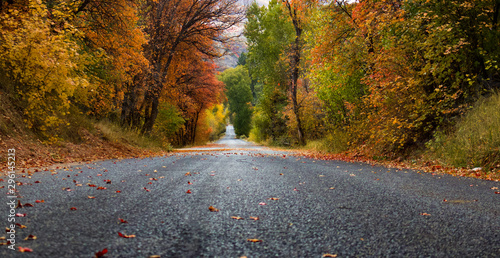 Fototapeta Naklejka Na Ścianę i Meble -  Fall Road To The Start