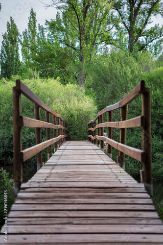 Wooden bridge that crosses nature. Vertical.