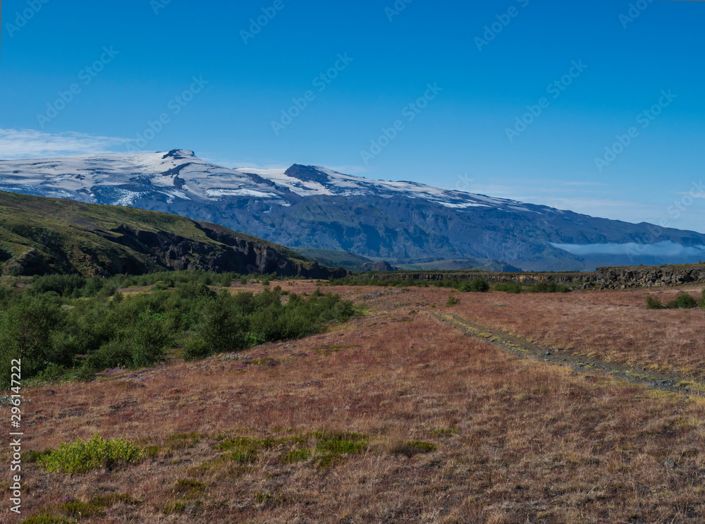 Fototapeta premium Icelandic landscape with red grass, birch bush, green hills and eyjafjallajokull volcano glacier. Laugavegur hiking trail. Fjallabak Nature Reserve, Iceland. Summer blue sky