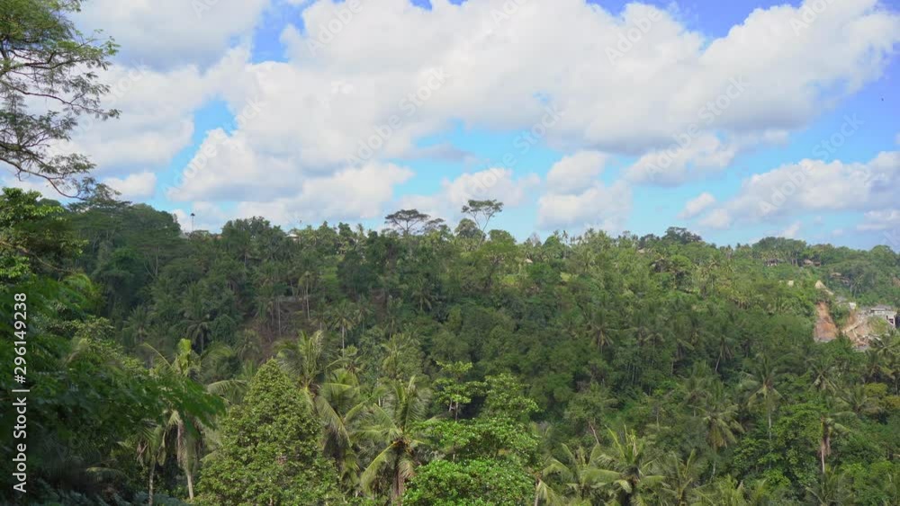 Little boy swings on swings in a tropical surrounding. Travel to Bali concept Little boy swings on swings in a tropical surrounding. Travel to Bali concept