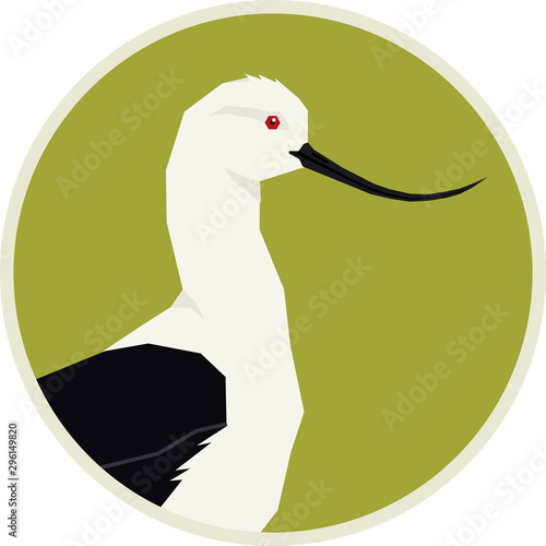 Birds collection Andean avocet Vector illustration Round frame