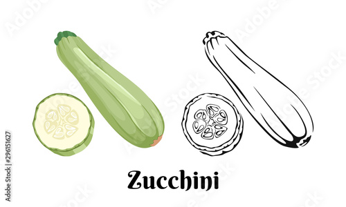 Zucchini vector illustration. Color image and black and white outline of squash whole and slice. Vegetable isolated on white background. Cartoon simple flat style.