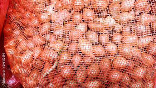 Fresh raw onions closeup in mesh bags for sale. Bulbs waiting to be planted in local garden on warm sunny day. Onions planting material for gardening.