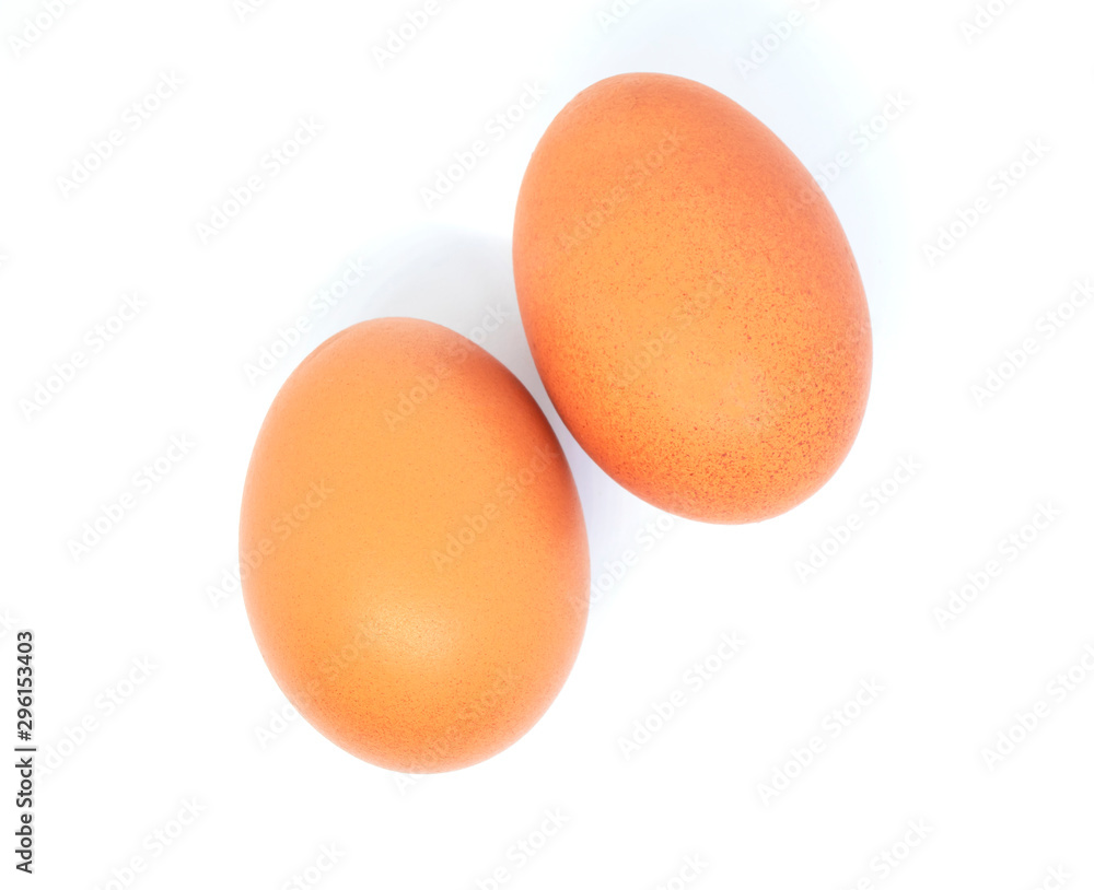 close-up egg chicken isolated on white background close-up egg chicken isolated on white background