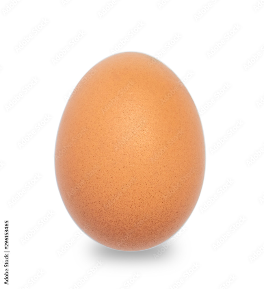 close-up single egg chicken close-up single egg chicken