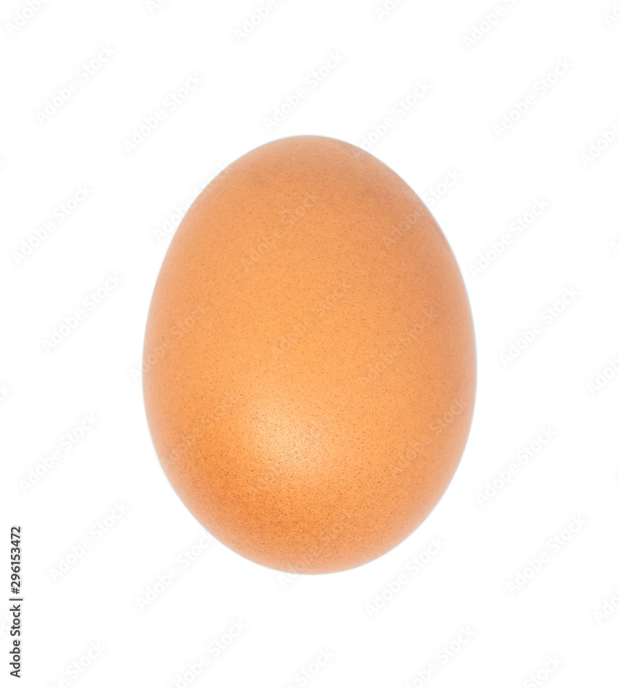 close-up single egg chicken close-up single egg chicken