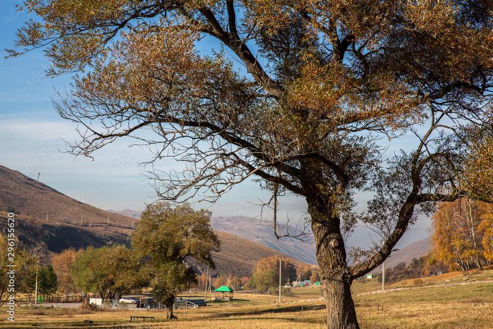 Allphotokz Ile-Alatau Park 20141011 9208 5DM3 Allphotokz Ile-Alatau Park 20141011 9208 5DM3