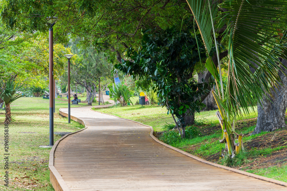 Obraz premium chemin dans le parc