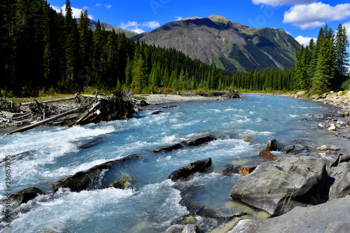 The Bow river meandering by mountains and forests through the bow valley in Banff national park, Alberta, Canada.