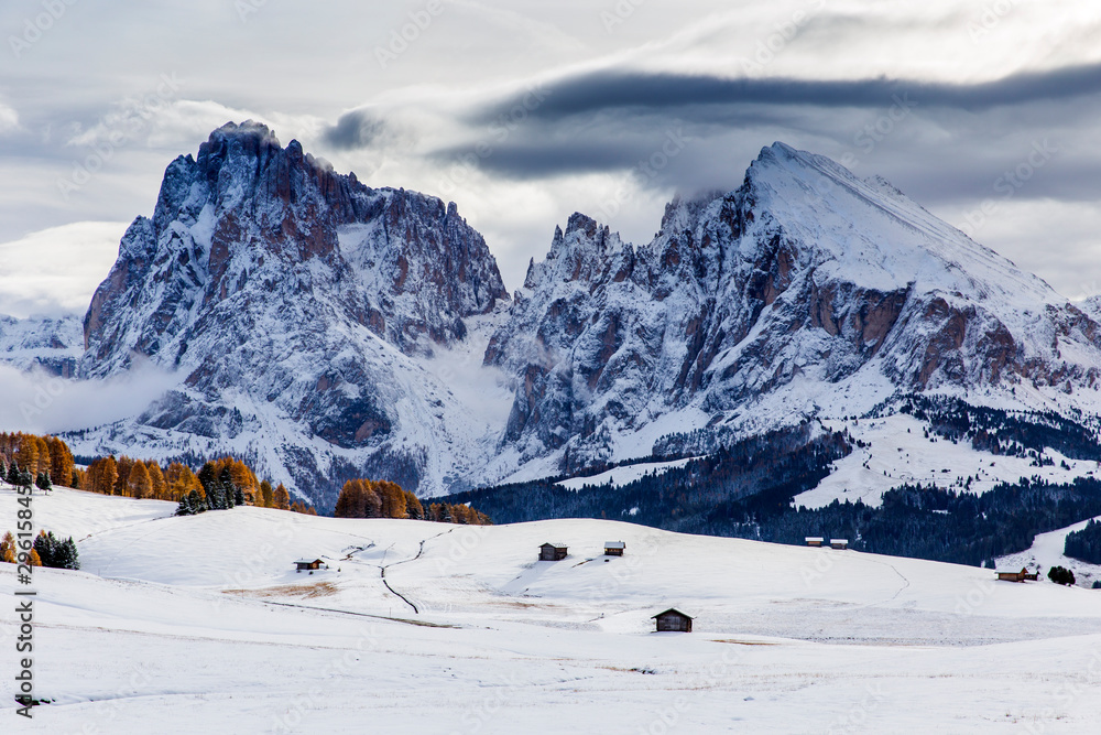 Beautiful Winter at Alpe di Siusi, Seiser Alm - Italy - Holiday background for Christmas.