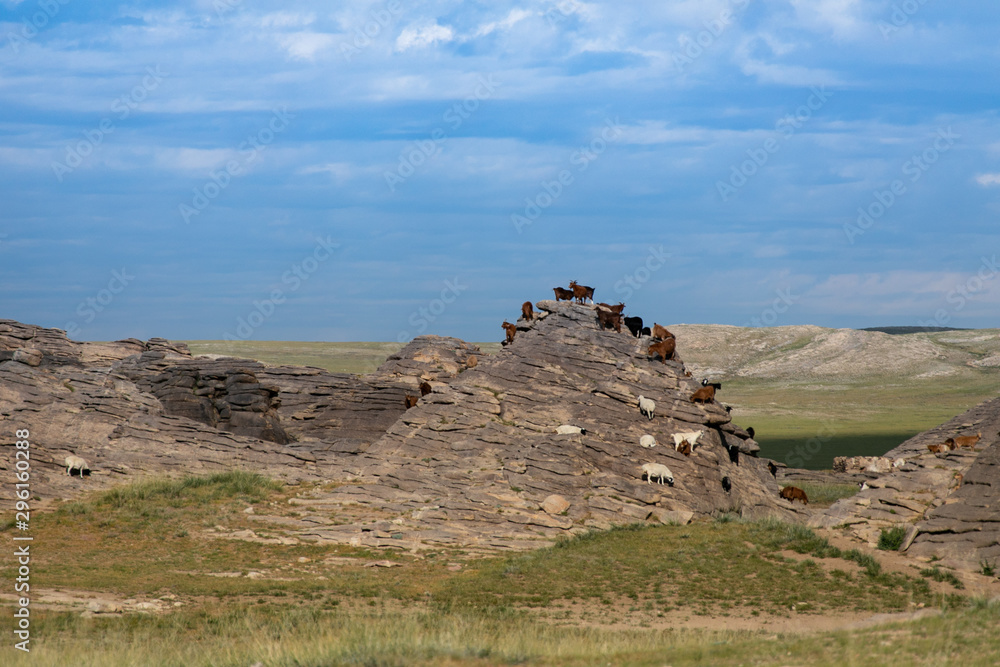 Fotografie ikh nart nature reserve