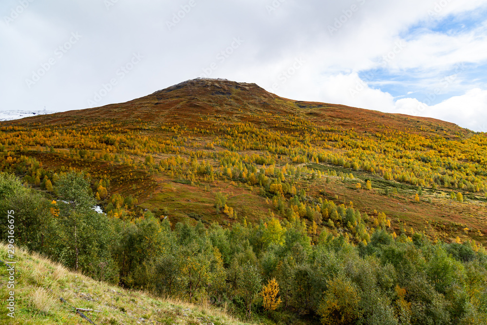 View of the autumn mountains covered with colorful trees.