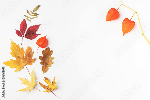 Autumn leaves frame, white background, copy space.