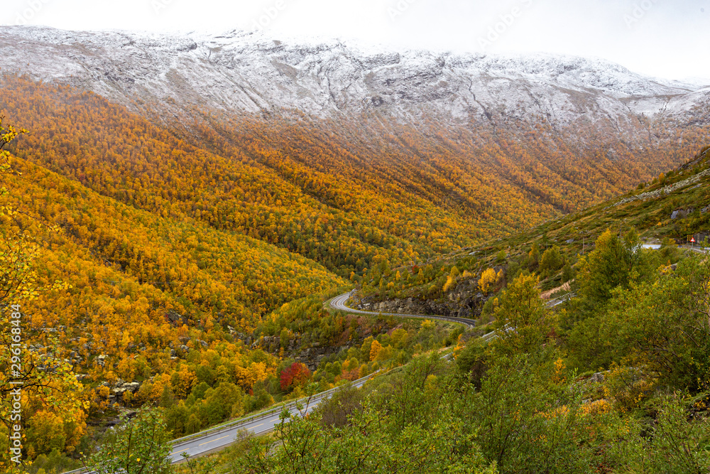 View of the autumn mountains covered with colorful trees. View of the autumn mountains covered with colorful trees.