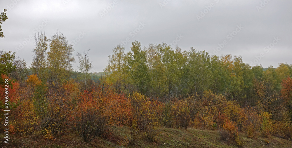 Colorful Autumn Landscape with Autumn Trees and Bushes Colorful Autumn Landscape with Autumn Trees and Bushes