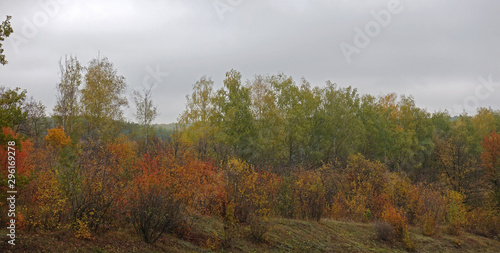 Colorful Autumn Landscape with Autumn Trees and Bushes