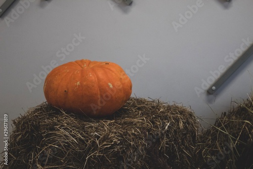 pumpkin on hay