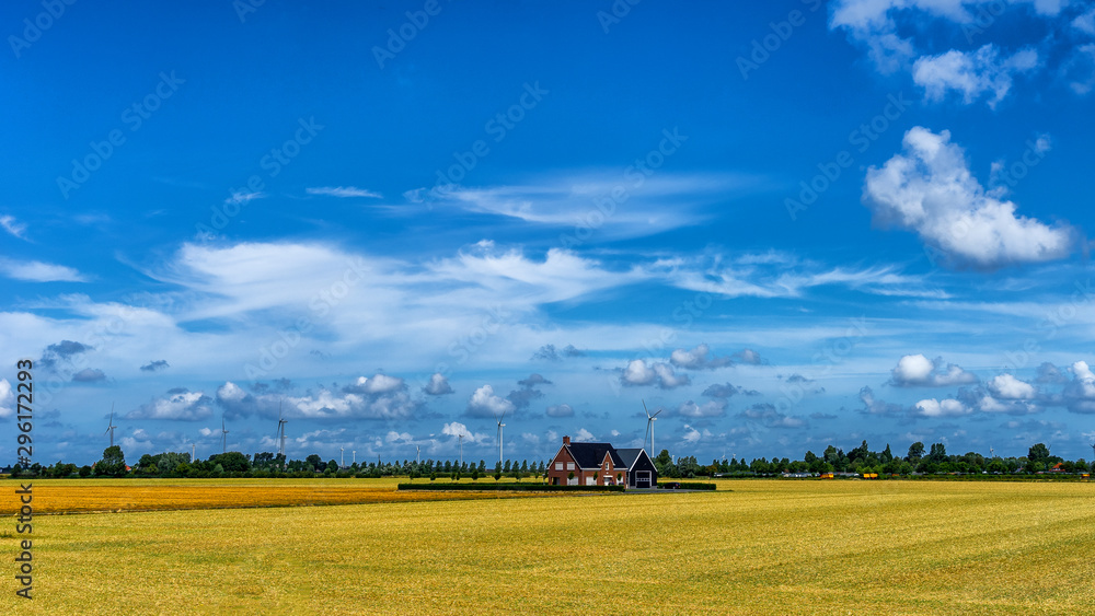 Farm in the middle in Noordwelle (NL)⠀ Farm in the middle in Noordwelle (NL)⠀