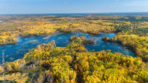 Aerial fall foliage and swamp