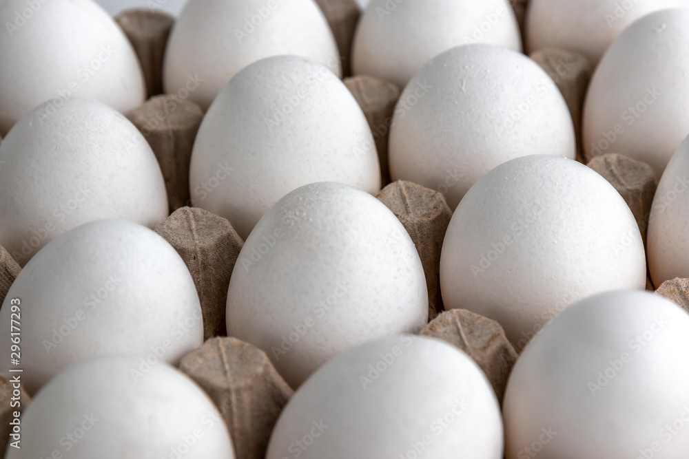 raw white chicken eggs in carton tray pattern, Close-up, selective focus raw white chicken eggs in carton tray pattern, Close-up, selective focus