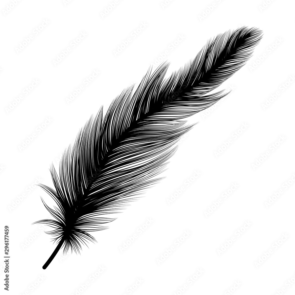 Feather isolated. Vector illustration. EPS 10. Feather isolated. Vector illustration. EPS 10.