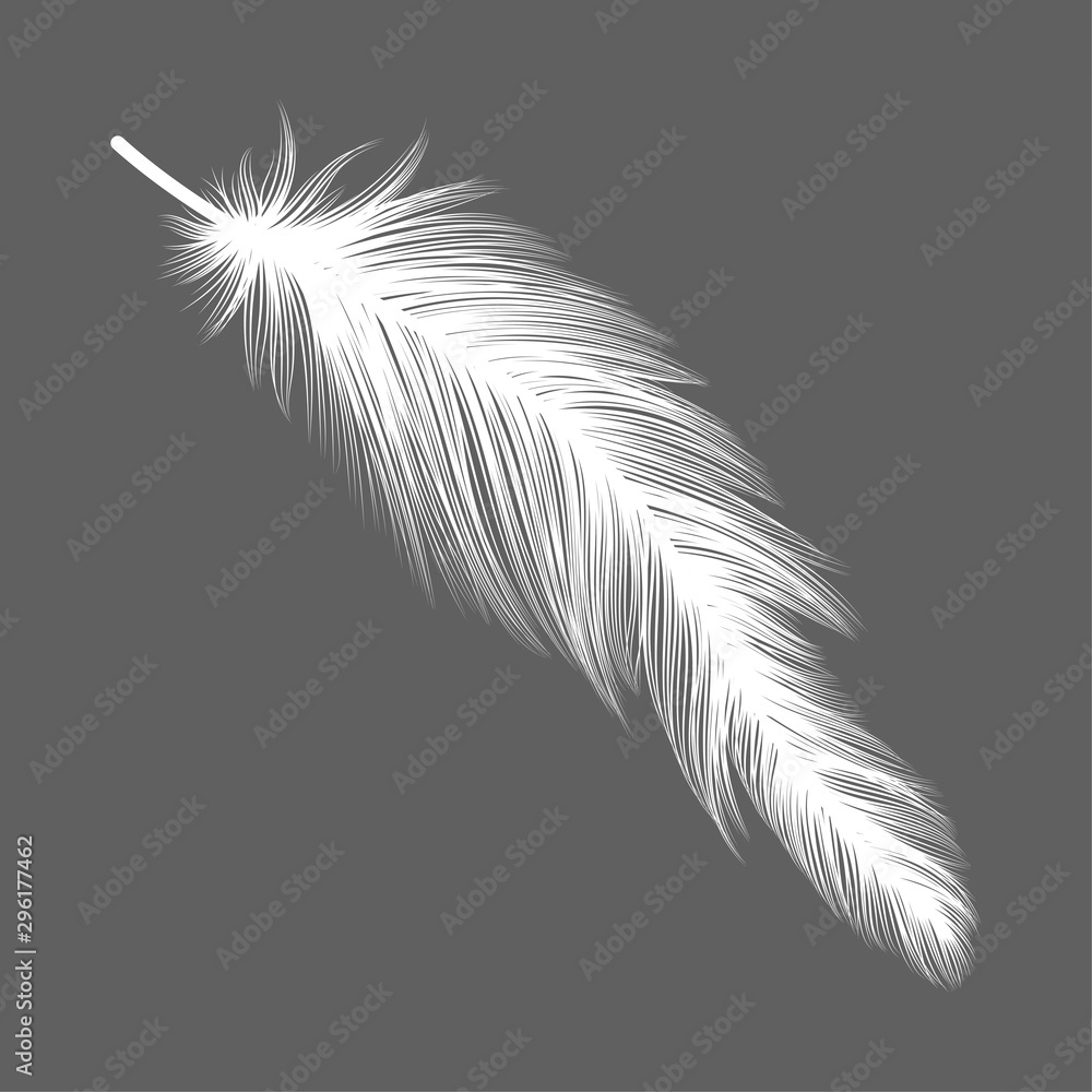 Obraz premium Feather isolated. Vector illustration. EPS 10.
