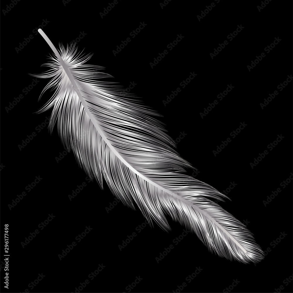 Obraz premium Feather isolated. Vector illustration. EPS 10.