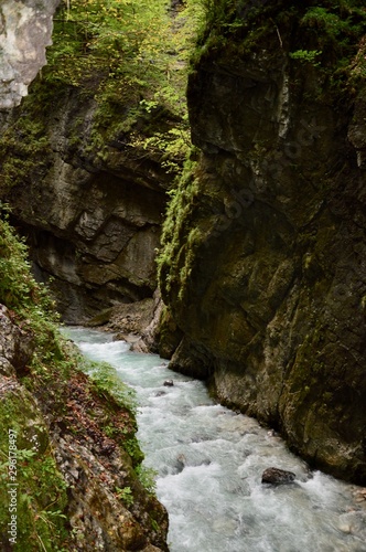 waterfall in the forest