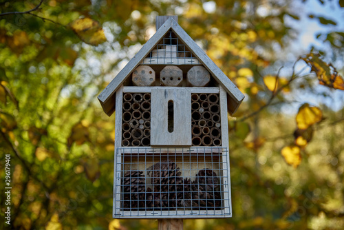 Sweden, Stockholm, insect house in the city park © janmiko
