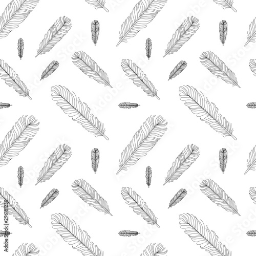 Feathers pattern contour vector illustration isolated © Ihor