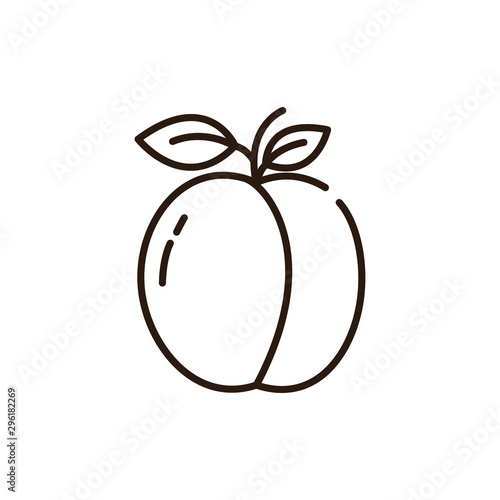 Isolated plum icon line vector design