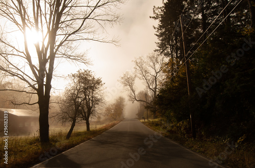 Foggy Road