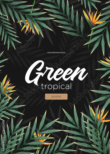 Bright tropical background with jungle plants. Exotic pattern with tropical leaves