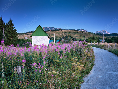 Nice rural house with pink ...