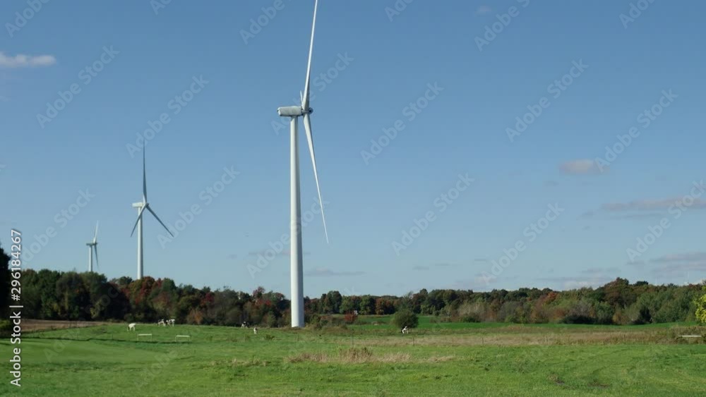 Three windmills spinning slowly on a fall day on farm with cows NY State Three windmills spinning slowly on a fall day on farm with cows NY State