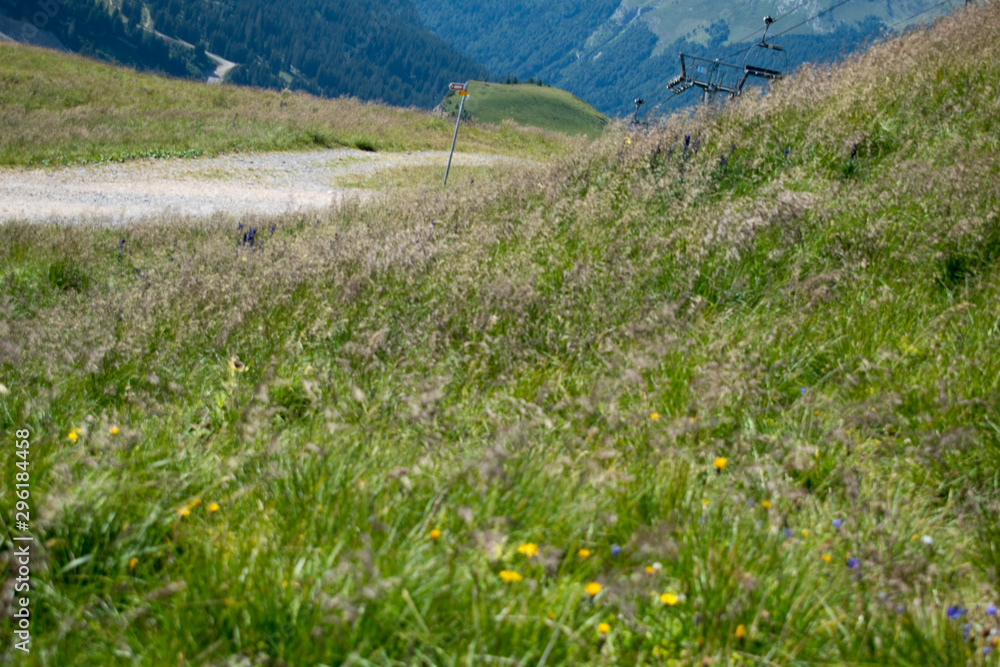 Obraz premium Montagne en été