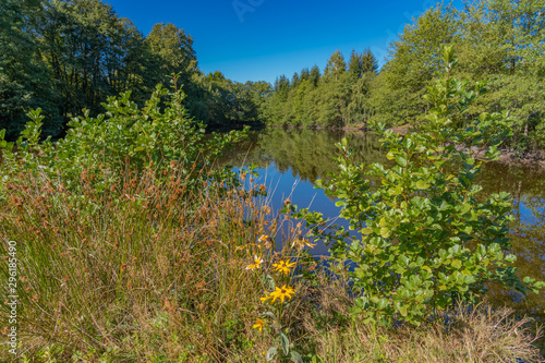 Beulotte Saint Laurent, France - 09 12 2019: Hike in the circuit of the thousand ponds photo