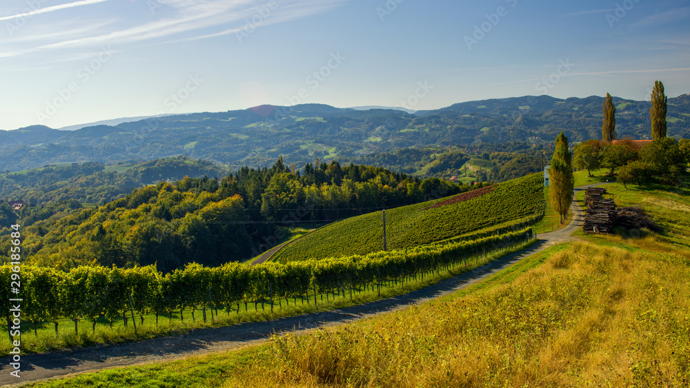 Weinstrasse in der Steiermark