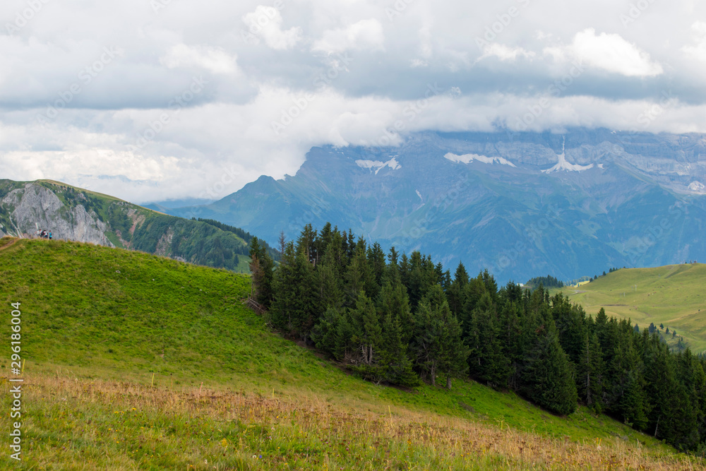 Fototapeta premium Montagne paysage