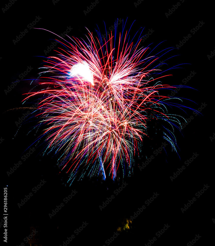 fireworks in the night sky fireworks in the night sky