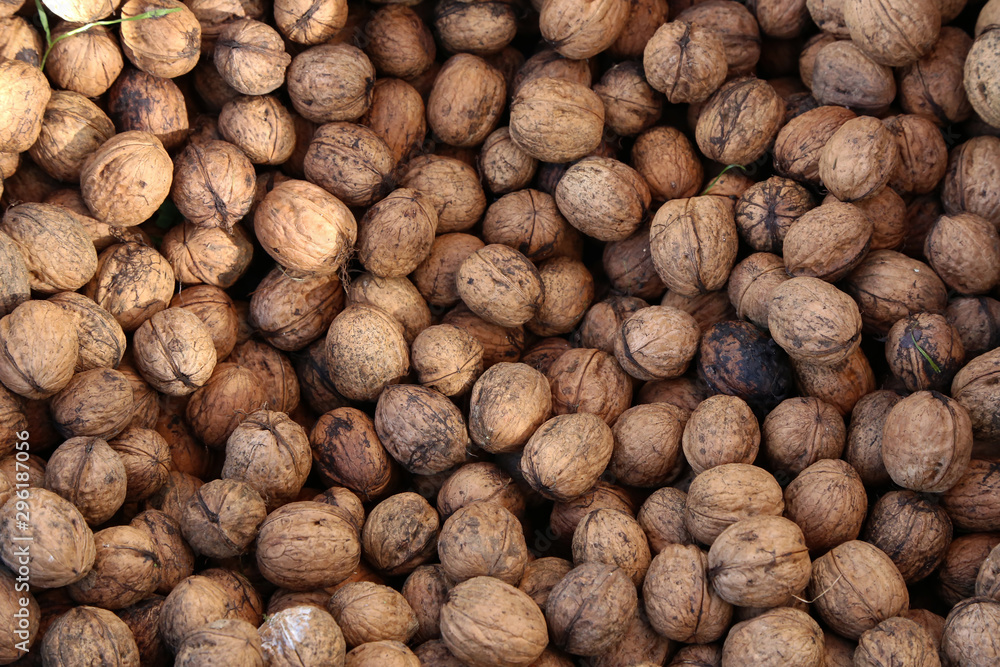 Natural walnut in shell background pattern texture Natural walnut in shell background pattern texture