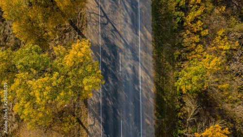 Drone s Eye Autumn road  aerial top down view of lane between foliage tree