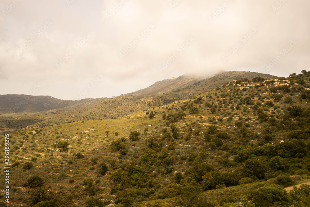 Paysage de maquis en Espagne, végétation basse et nuages