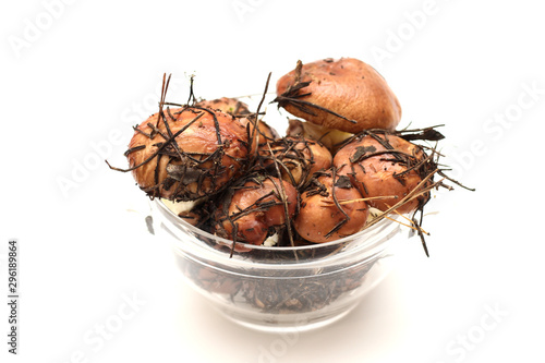 Suillus mushrooms in a transparent glass bowl isolated on a white background. Armful of dirty, unpeeled, butter fungi photo