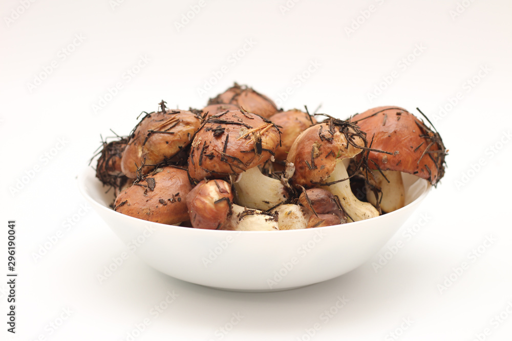 Suillus mushrooms in a ceramic soup plate isolated on a white background. Armful of dirty, unpeeled, butter fungi Suillus mushrooms in a ceramic soup plate isolated on a white background. Armful of dirty, unpeeled, butter fungi