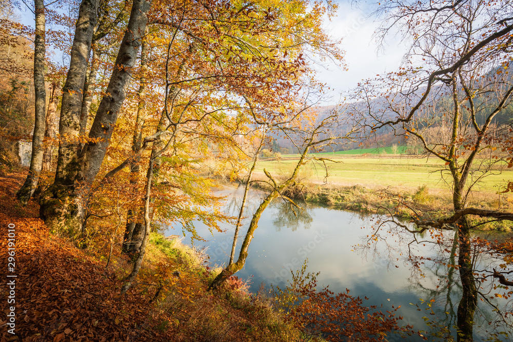 Landschaft im Herbst mit Wald und Wiese bei strahlendem Sonnenschein