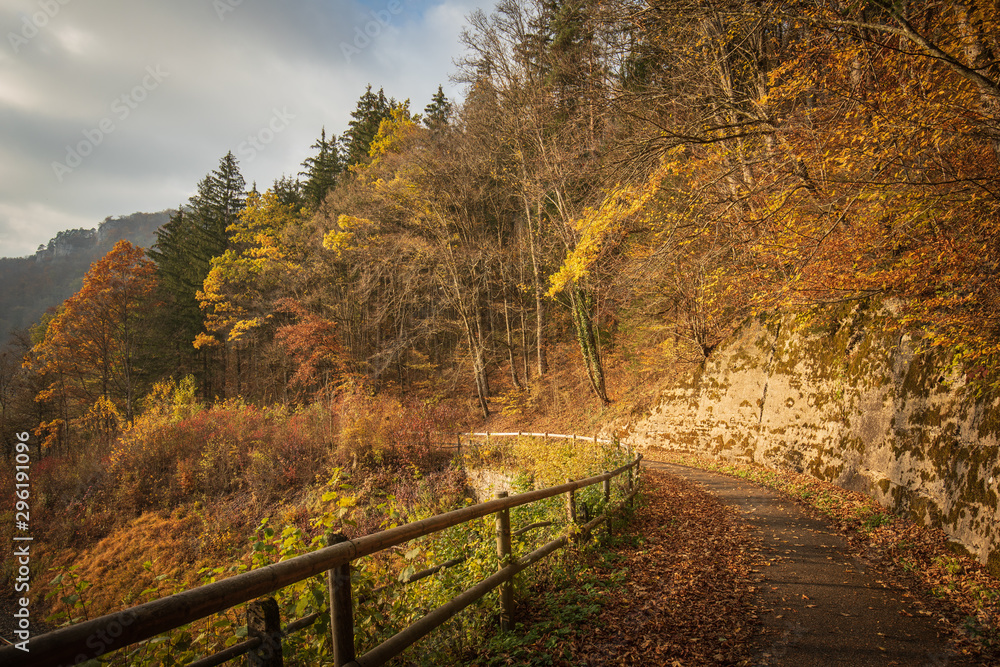 Landschaft im Herbst mit Wald und Wiese bei strahlendem Sonnenschein Landschaft im Herbst mit Wald und Wiese bei strahlendem Sonnenschein